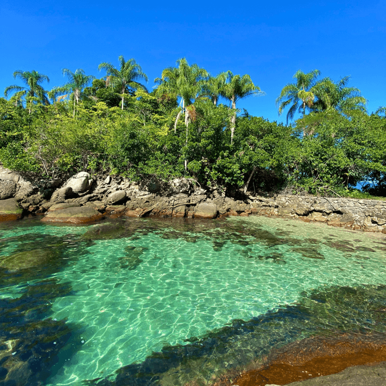 lado-norte-praias-de-paraty-1.png