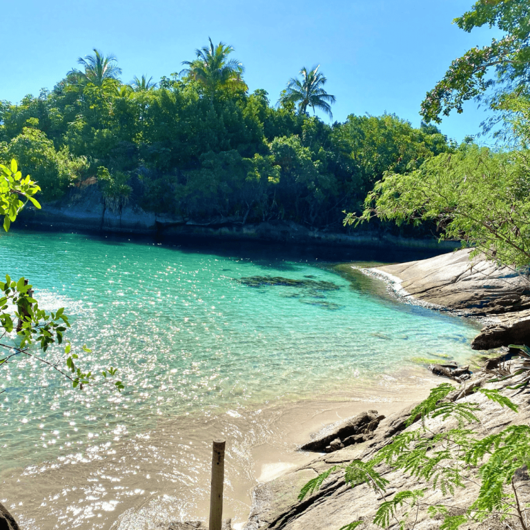 lado-norte-praias-de-paraty-3.png