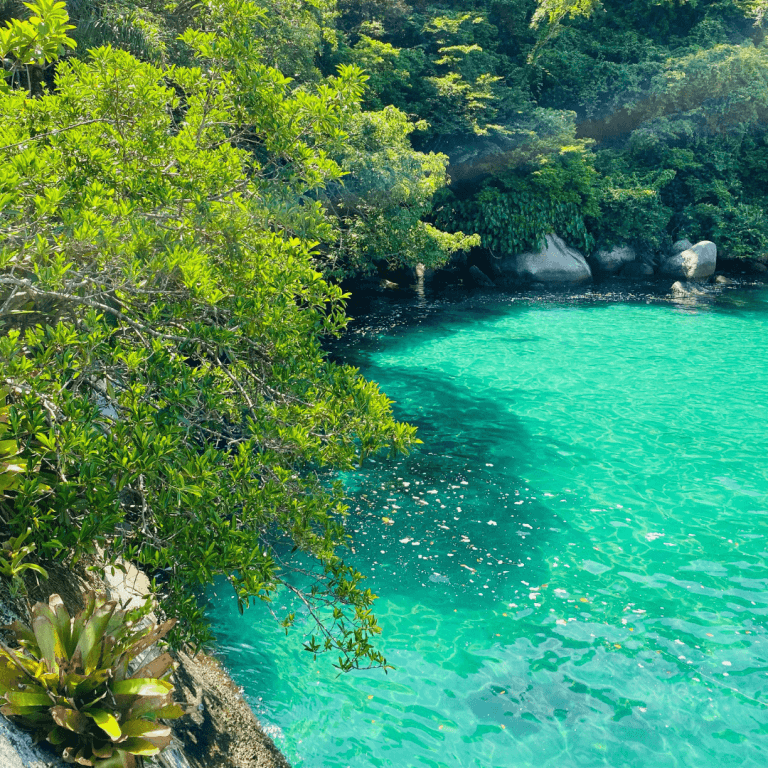 roteiro-aguas-claras-paraty-1.png
